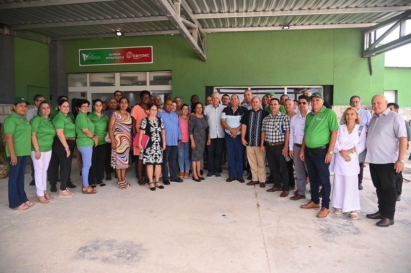 None