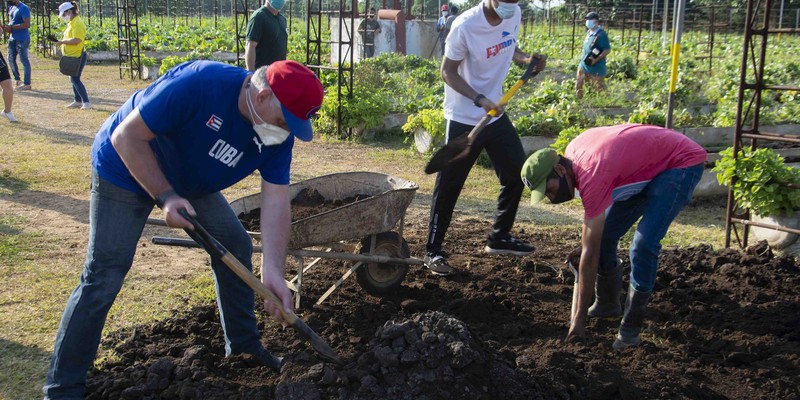 Trabajo Voluntario por el Día de la Rebeldía Nacional