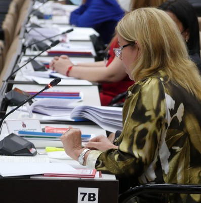 II Pleno del Comité Central del PCC (Segunda Jornada)