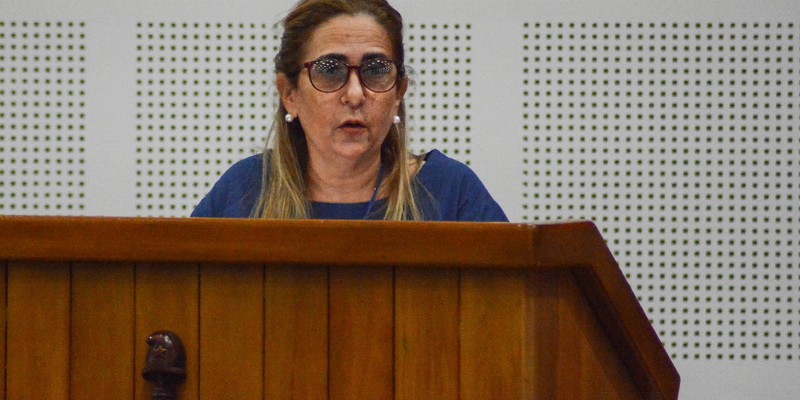 Comisión Económica - Segunda jornada de trabajo previo al 8vo Período Ordinario