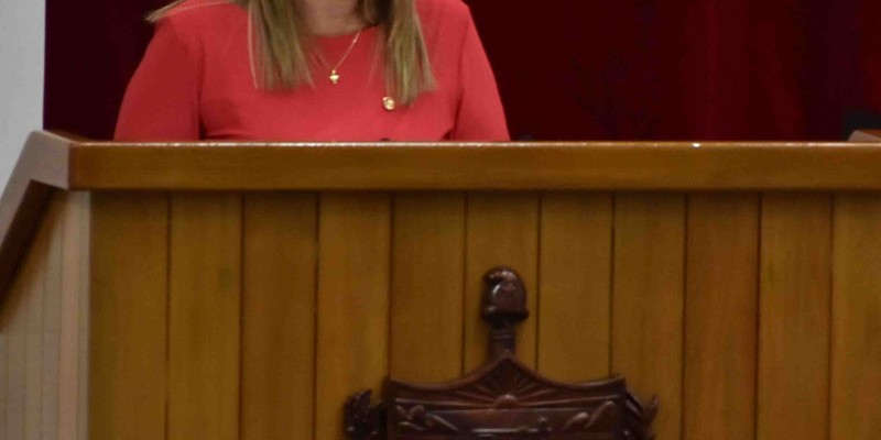 Primera jornada de trabajo de la 8va sesión ordinaria de la Asamblea Nacional del Poder Popular en su IX Legislatura