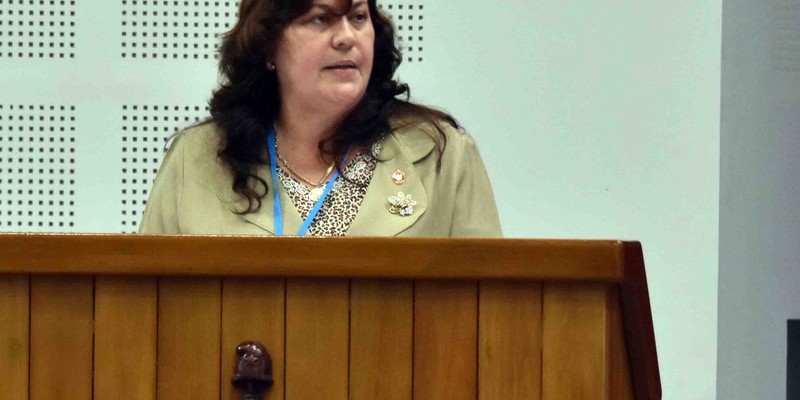 Segunda jornada del Octavo Período Ordinario de Sesiones de la Asamblea Nacional del Poder Popular, en su IX Legislatura