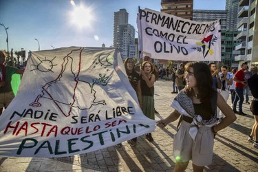 Abrazos de cien mil habaneros para Palestina 13