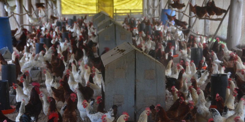 Visita a Yateras, Guantánamo