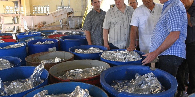 Visita Gubernamental a la provincia de Holguín - Octubre 2023