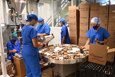 Visita del Presidente a entidades productivas en los municipios de Cotorro y Habana del Este 3