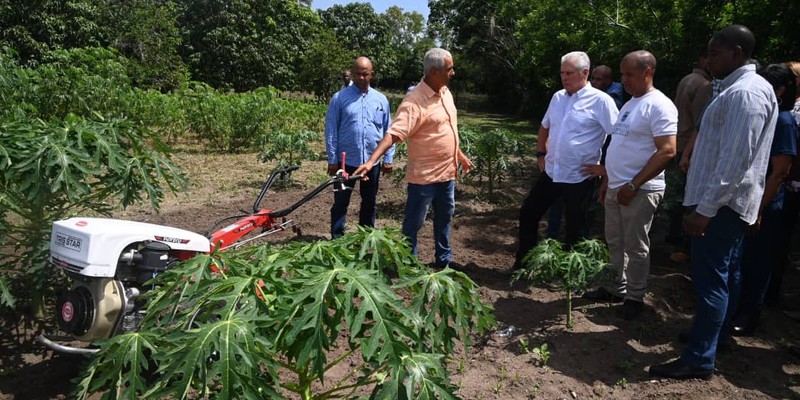 Allí donde la pasión y la seriedad deciden suertes vitales del país