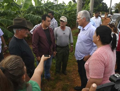 Constata Díaz-Canel recuperación de producciones agropecuarias en Artemisa