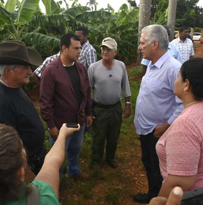 Constata Díaz-Canel recuperación de producciones agropecuarias en Artemisa
