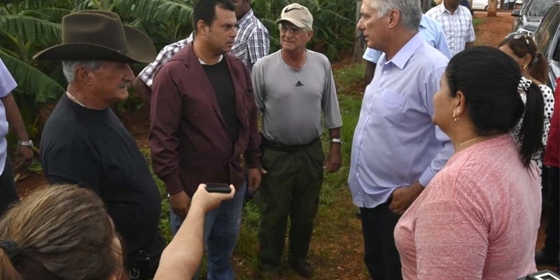 Constata Díaz-Canel recuperación de producciones agropecuarias en Artemisa