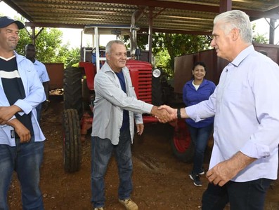 Constata Díaz-Canel recuperación de producciones agropecuarias en Artemisa