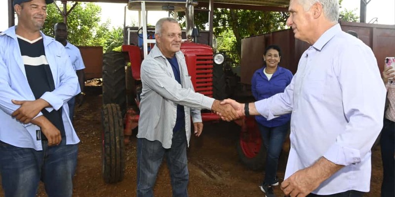 Constata Díaz-Canel recuperación de producciones agropecuarias en Artemisa