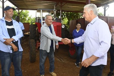 Constata Díaz-Canel recuperación de producciones agropecuarias en Artemisa 5