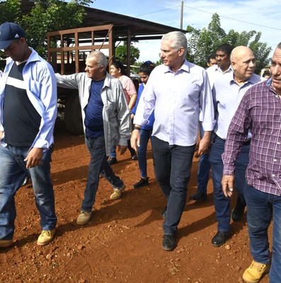 Constata Díaz-Canel recuperación de producciones agropecuarias en Artemisa