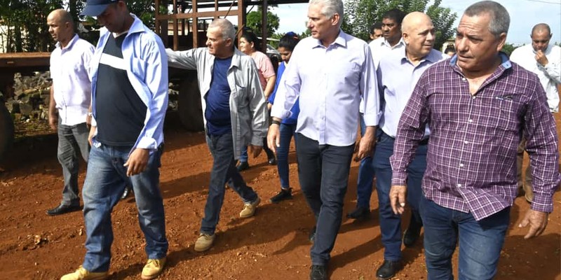 Constata Díaz-Canel recuperación de producciones agropecuarias en Artemisa