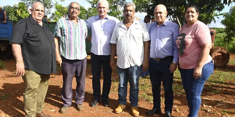 Constata Díaz-Canel recuperación de producciones agropecuarias en Artemisa
