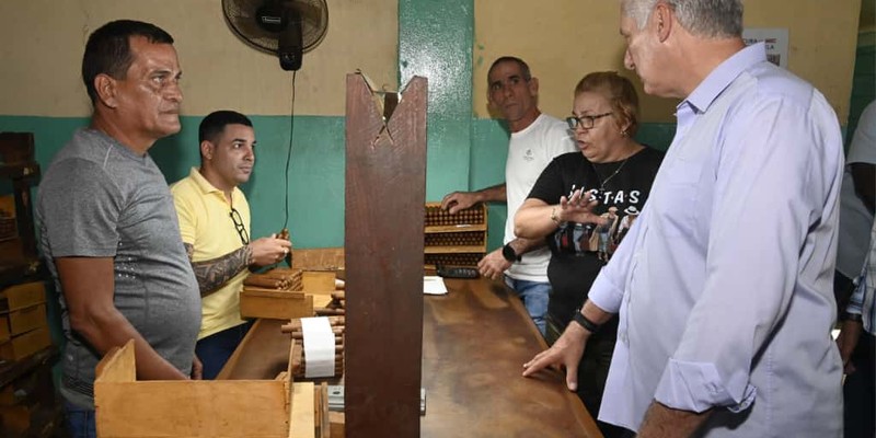 Constata Díaz-Canel recuperación de producciones agropecuarias en Artemisa