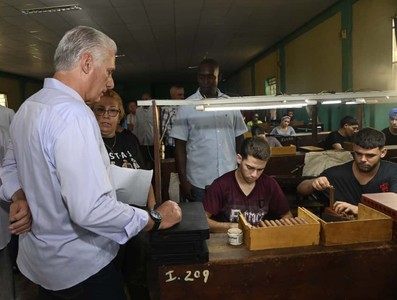 Constata Díaz-Canel recuperación de producciones agropecuarias en Artemisa