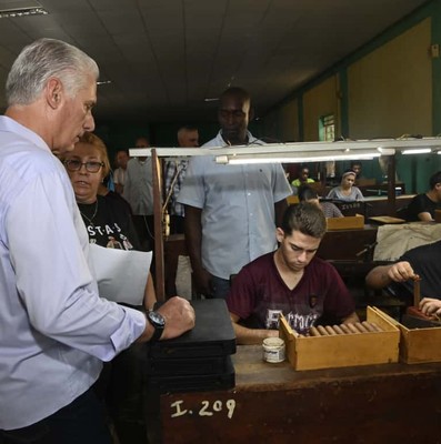 Constata Díaz-Canel recuperación de producciones agropecuarias en Artemisa