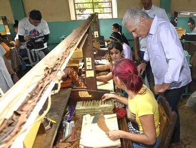 Constata Díaz-Canel recuperación de producciones agropecuarias en Artemisa