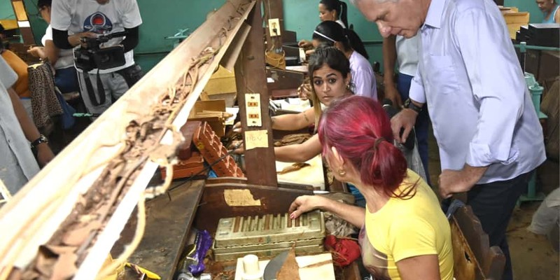 Constata Díaz-Canel recuperación de producciones agropecuarias en Artemisa