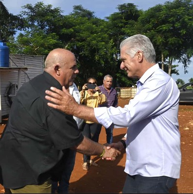 Constata Díaz-Canel recuperación de producciones agropecuarias en Artemisa
