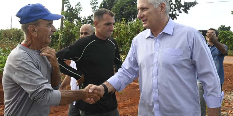 Constata Díaz-Canel recuperación de producciones agropecuarias en Artemisa