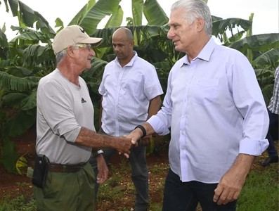 Constata Díaz-Canel recuperación de producciones agropecuarias en Artemisa