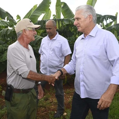 Constata Díaz-Canel recuperación de producciones agropecuarias en Artemisa