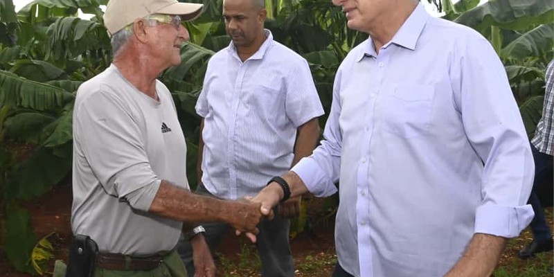 Constata Díaz-Canel recuperación de producciones agropecuarias en Artemisa