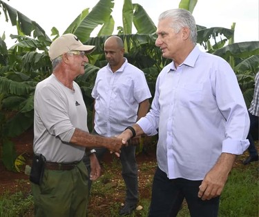 Constata Díaz-Canel recuperación de producciones agropecuarias en Artemisa 19