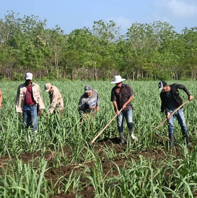 Villa Clara tiene para ser una provincia mucho más innovadora
