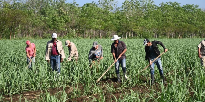 Villa Clara tiene para ser una provincia mucho más innovadora