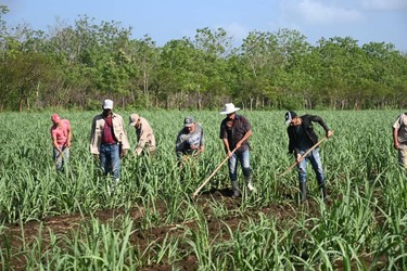Villa Clara tiene para ser una provincia mucho más innovadora 6