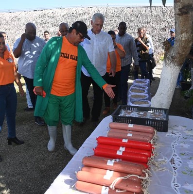 Los triunfos solo nacen del trabajo duro y tenaz