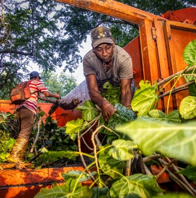 Cuando se multiplica el esfuerzo de cubanas y cubanos por el bienestar de todos