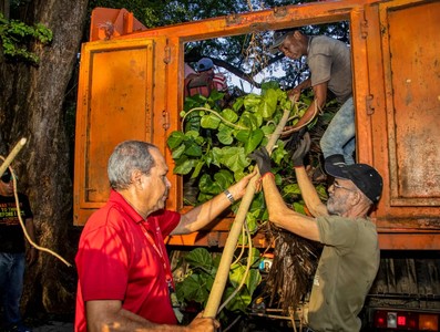Cuando se multiplica el esfuerzo de cubanas y cubanos por el bienestar de todos