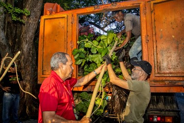 Cuando se multiplica el esfuerzo de cubanas y cubanos por el bienestar de todos 4