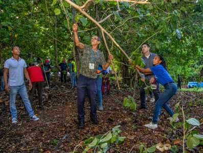 Cuando se multiplica el esfuerzo de cubanas y cubanos por el bienestar de todos