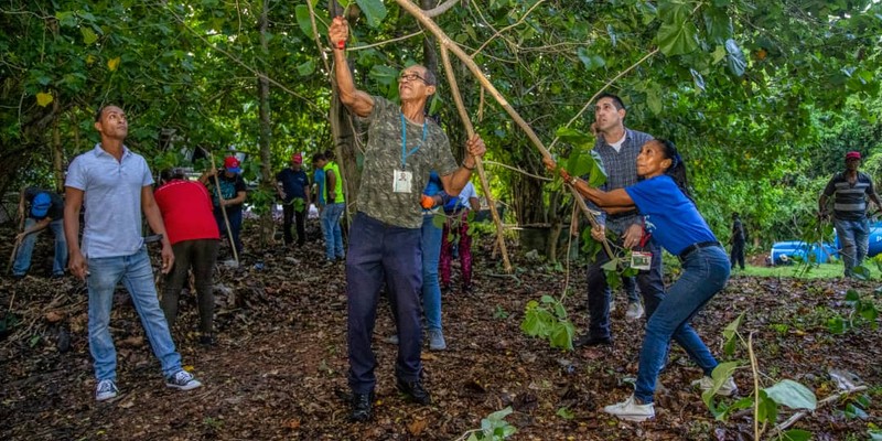 Cuando se multiplica el esfuerzo de cubanas y cubanos por el bienestar de todos