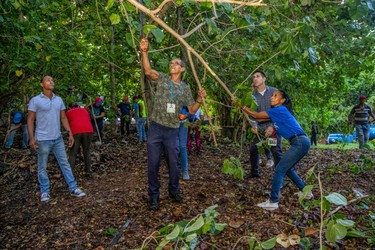 Cuando se multiplica el esfuerzo de cubanas y cubanos por el bienestar de todos 5