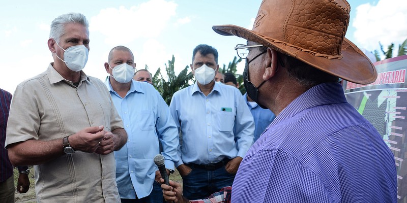 Recorrido de Díaz-Canel por la provincia de Las Tunas