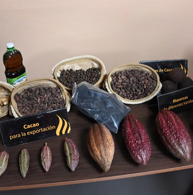 Cuarta Visita Gubernamental a Gunatánamo