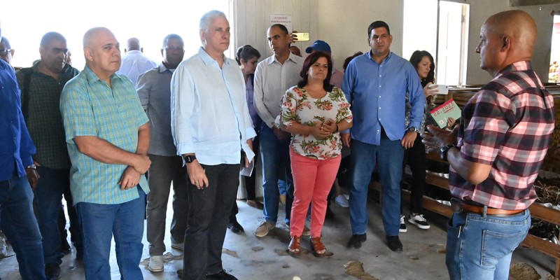 Pinar y Artemisa, centros económicos y población