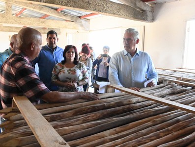 Pinar y Artemisa, centros económicos y población
