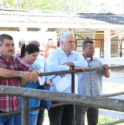 Pinar y Artemisa, centros económicos y población