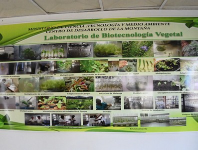 Visita a Salvador, Guantánamo