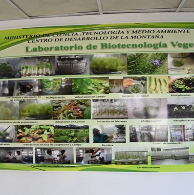 Visita a Salvador, Guantánamo