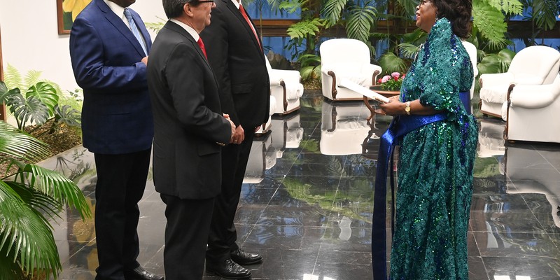 Recibió Díaz-Canel las Cartas Credenciales de once nuevos embajadores