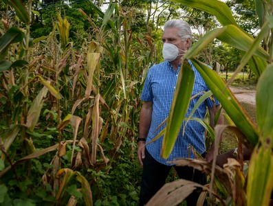 Recorrido por polos productivos de Mayabeque